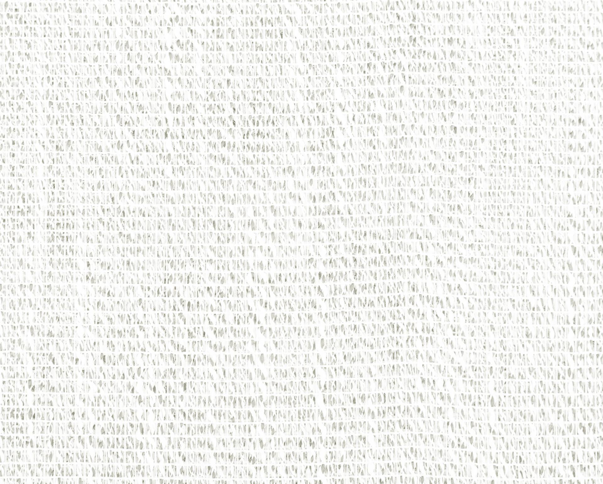 1113020000001