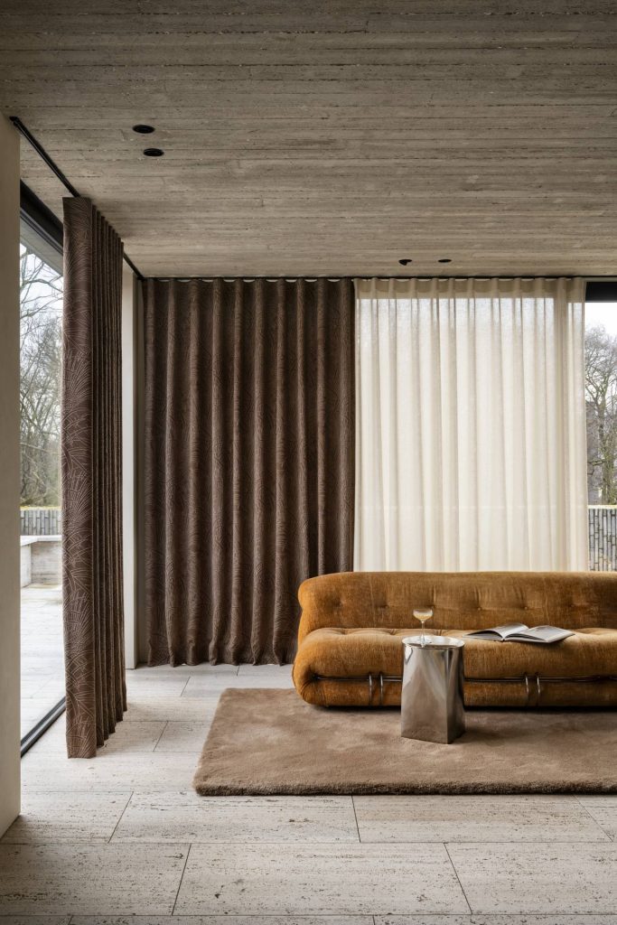 Silhouettes of Nature